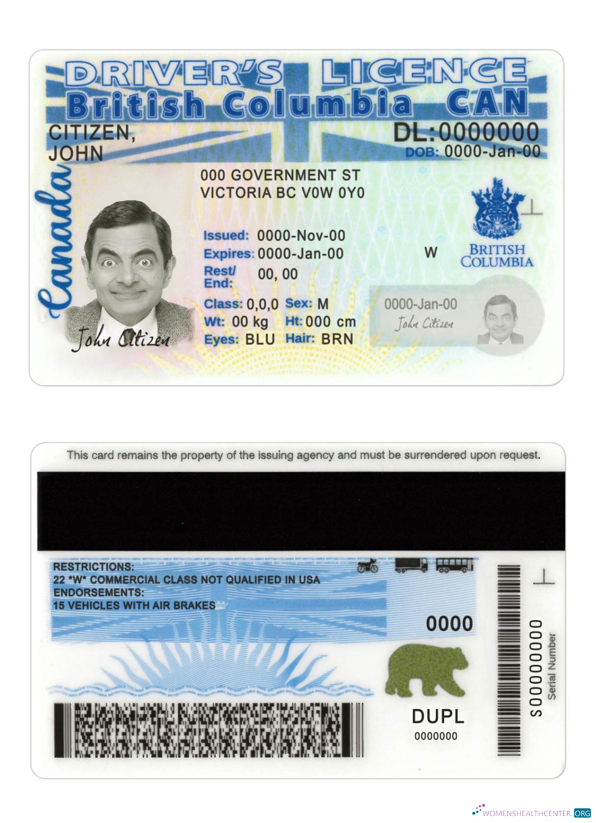 download Canada British Columbia driving license new version